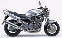 GSF 600 N Bandit stříbrná